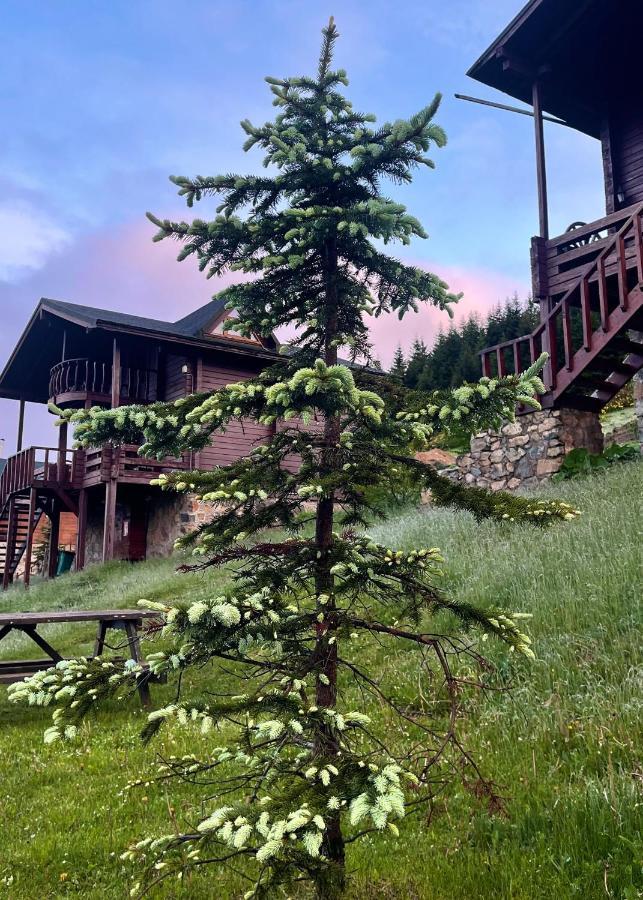 Kuembet Dag Evi Villa Exterior foto